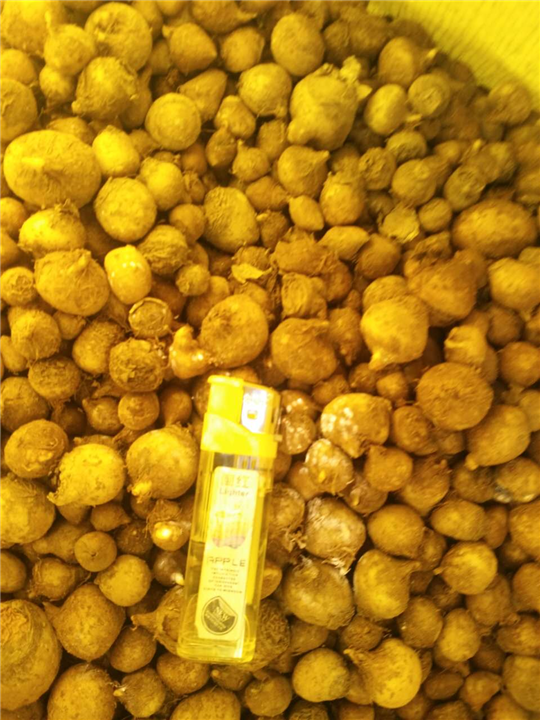 遵义各县区【半夏干货】大量销售 