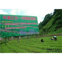 四川各县区『半夏干货』供应商 