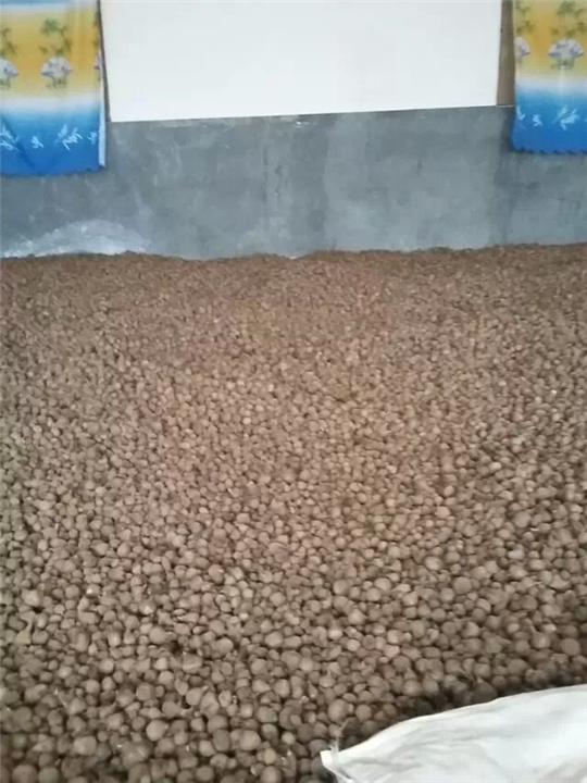 资阳【半夏干货】大量销售 