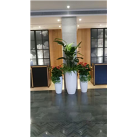 广东花盆厂家