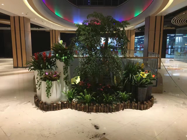 欧式艺术组合盆-