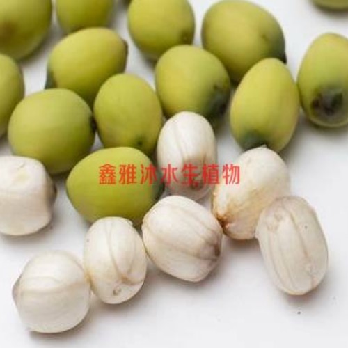 18233361855邯郸市的【莲子】 