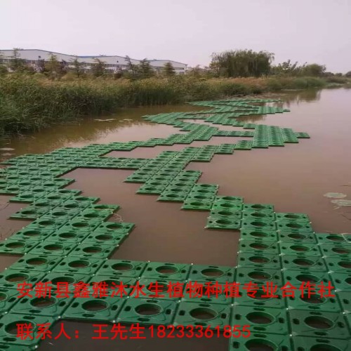 怀柔区专业制作【人工生态浮岛】厂家 