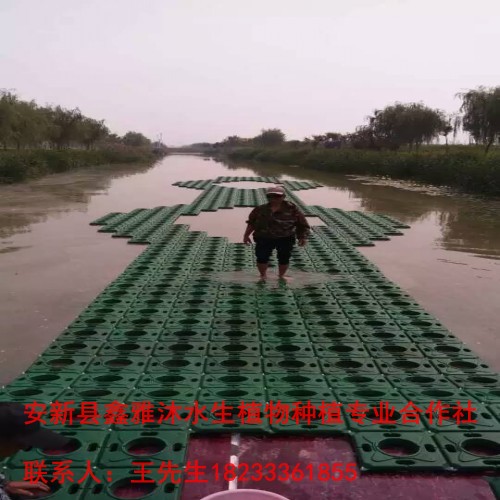 顺义区【生态浮岛】制作方法 