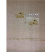 内墙砖 