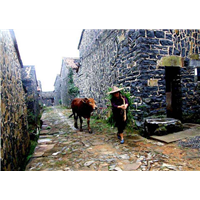 磐安旅游 