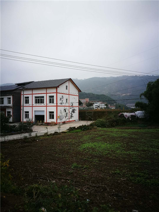 重庆大渡口区墙绘