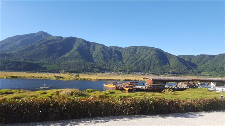 北海湿地--一起划草排 