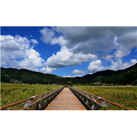 腾冲旅游租车电话@腾冲租车公司