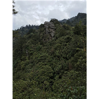 户外运动之旅--天台山 