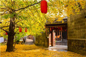 江东银杏村 