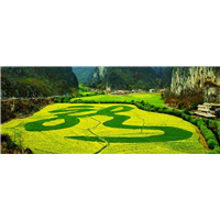 贵州肇兴侗寨旅游租车服务咨询电话