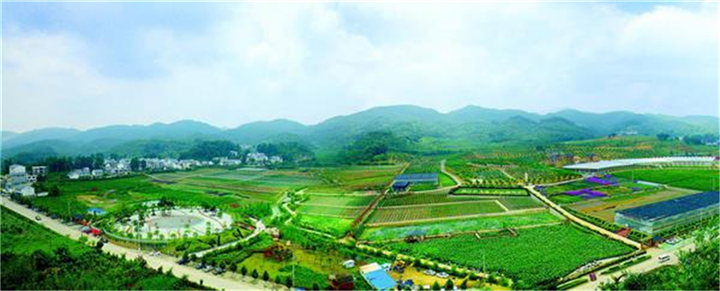 贵州黄果树大瀑布苗寨旅游包车自助游一天价格要多少