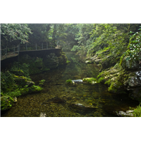 大山村农家乐|大山村农家乐价格 