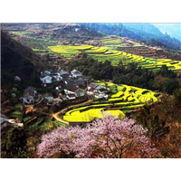 大山村农家乐~大山村农家乐哪家好 