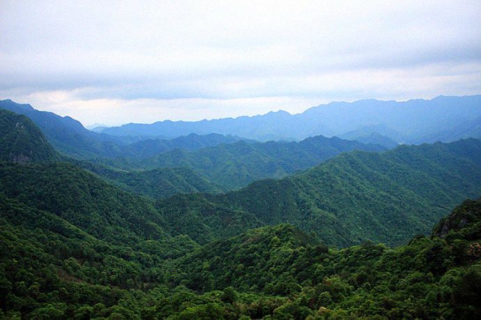 大山村农家乐|大山村农家乐电话 