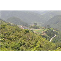 池州度假村电话 