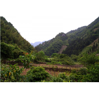 大山村农家乐|大山村度假村 