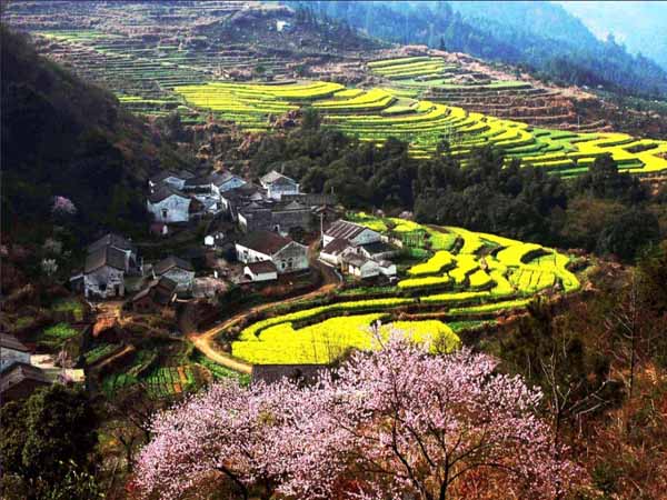 大山村农家乐|大山村度假村 
