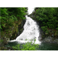 大山村农家乐电话+大山村农家乐价格 