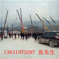 大亚湾大型吊车设备，大亚湾高空吊物