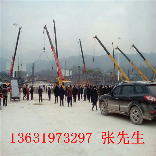 大亚湾大型吊车设备，大亚湾高空吊物