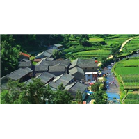 磐安农家院#磐安农家乐 