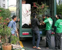 胶州居民搬家|胶州企业搬家 