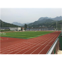 河南塑胶跑道厂家