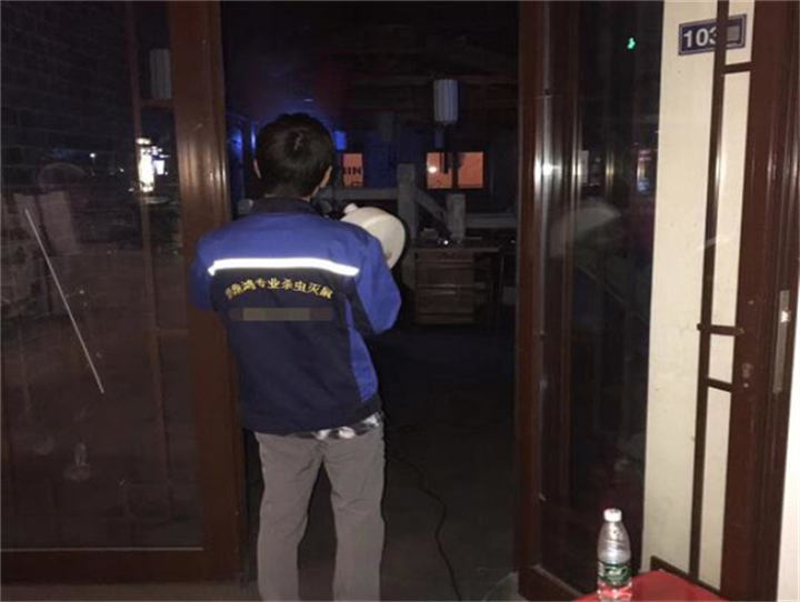 宁波灭老鼠公司