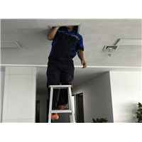 宁波灭白蚁公司