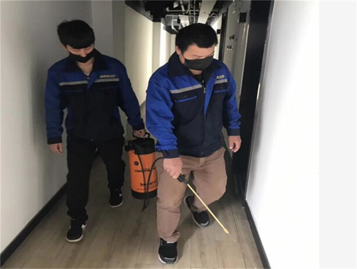 宁波灭蟑螂公司