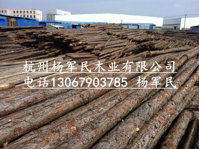 杭州打桩木/杭州打桩木供应商