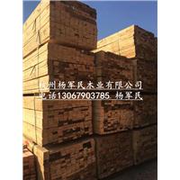 杭州打桩木/杭州建筑模板/杭州方木