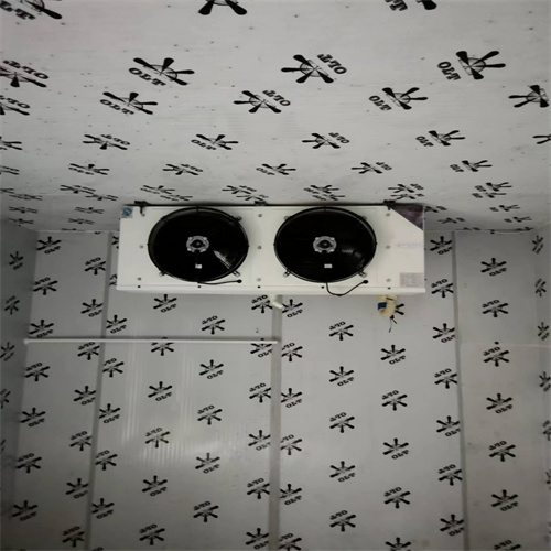 西安碑林区冷库建设