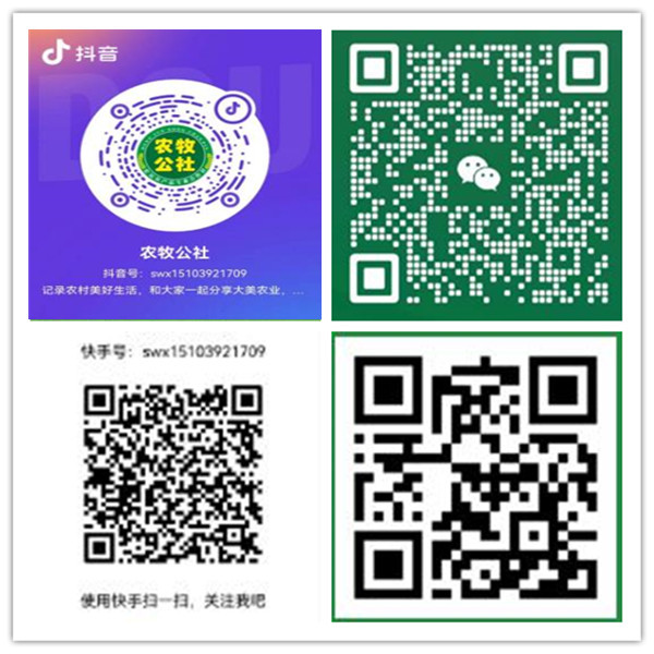 甘肃农产品销售合作社