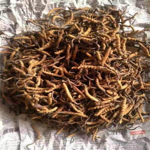 甘肃土豆批发