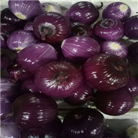 张掖蔬菜批发市场在哪