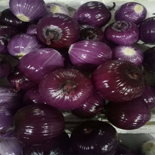 张掖蔬菜批发市场在哪