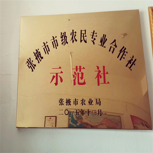 甘肃张掖蔬菜代买卖