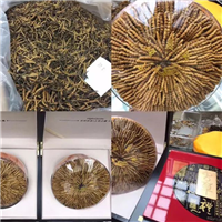 张掖大麦批发