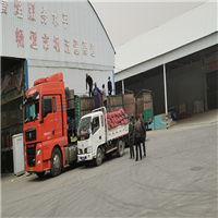 张掖批发市场