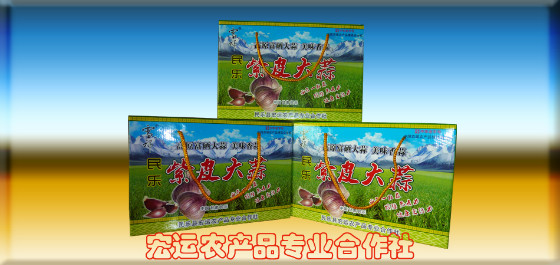 民乐紫皮大蒜礼盒