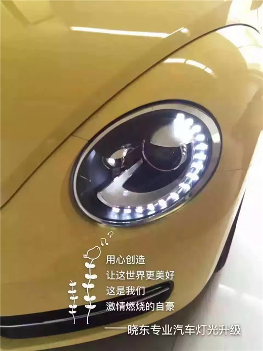 16.6.7甲壳虫