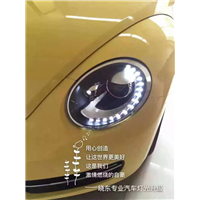16.6.7甲壳虫