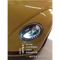 16.6.7甲壳虫