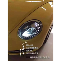 16.6.7甲壳虫