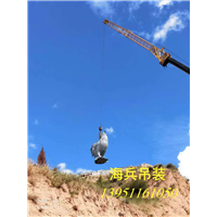 泰州海兵吊车