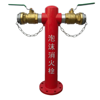 PS100-65×2泡沫消火栓 