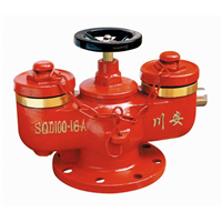 SQD型多用式地下消防水泵接合器 